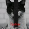 www.tiktok..com.ragyraij