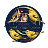 aviariodavidortega