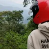 pambudiphewe
