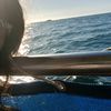 fernanda._0_