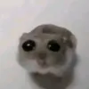 souvoco_outhinmo