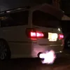 that.low.stagea