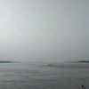 rayhanchowdhury160