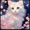 user1561162857582