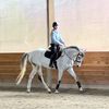 justineonahorse