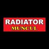 RADIATOR MUNCUL