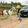 shkarslemani90