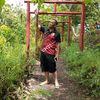 dimardi37