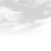 zol12399