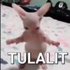 nabil_nak_meletup