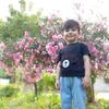 terlan_eli
