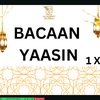 imah15624