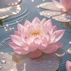 lotus_.91