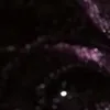 uiza_mi