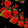 user7840819715665