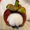 glovesmangosteens