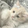 amayrani_jimenez8687
