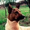 dagi2368693275541g