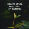 user5817533849440
