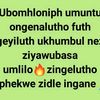 phazamisa.sa