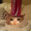 cocacolacat12