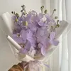 tsnimm_213a