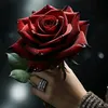 user8152806111182