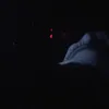 tfwkassa