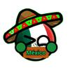 mexico_ball_shorts