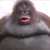 brandon821477