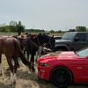 _gursandhu05
