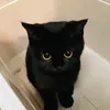 fiadaze