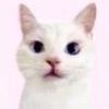 ronglinth