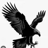 phngvnc5