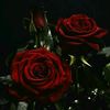 _lovee005