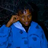 _kabutu1
