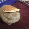 impaibun