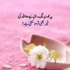user4185290417265