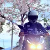 jj_roam