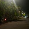 duniarhsia