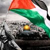 mahmoud.alex39