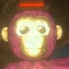sono_un_gorilla_tagghino