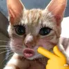 gaixinhnhatsaigon0