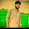 sharyarafridi209