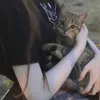 ََり