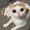 tretygfsqwy