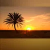 abdelif905