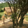 www.tiktok.com.hh168