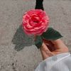 she_125678