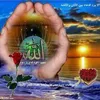sardarmohammed92